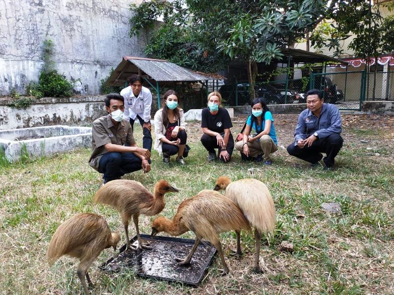 Jakarta Animal Aid Network; Berkomitmen Lindungi Satwa Liar Indonesia