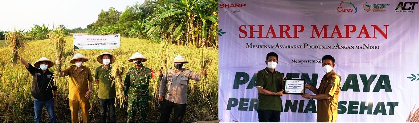 Program CSR Sharp Mapan; Panen Pertama Hasilkan 49 Ton Gabah di Karawang