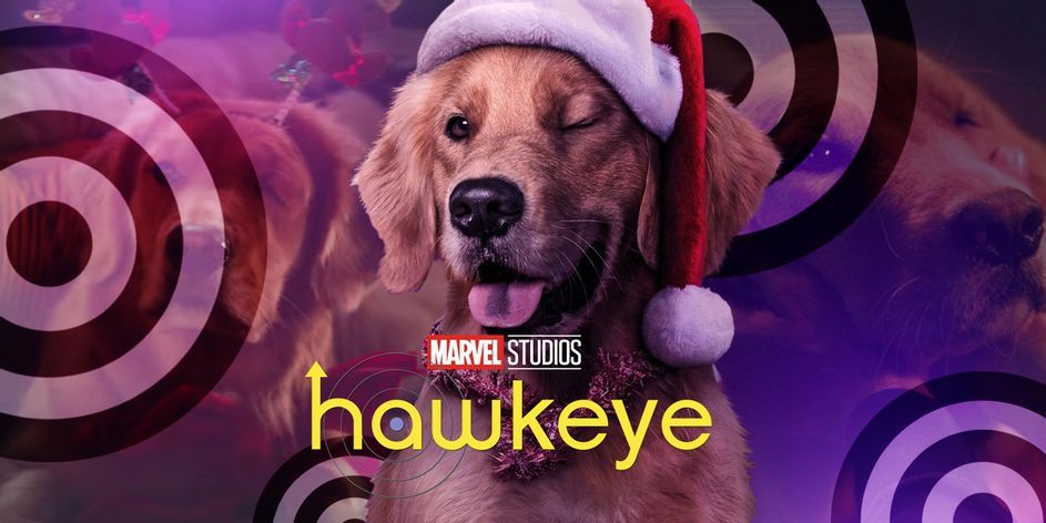 Mengenal Lucky the Pizza Dog, Anjing Lucu di Series Hawkeye