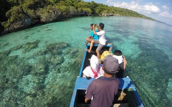 Wisata Laut, Ini 3 Lokasi Melihat Paus di Perairan Indonesia