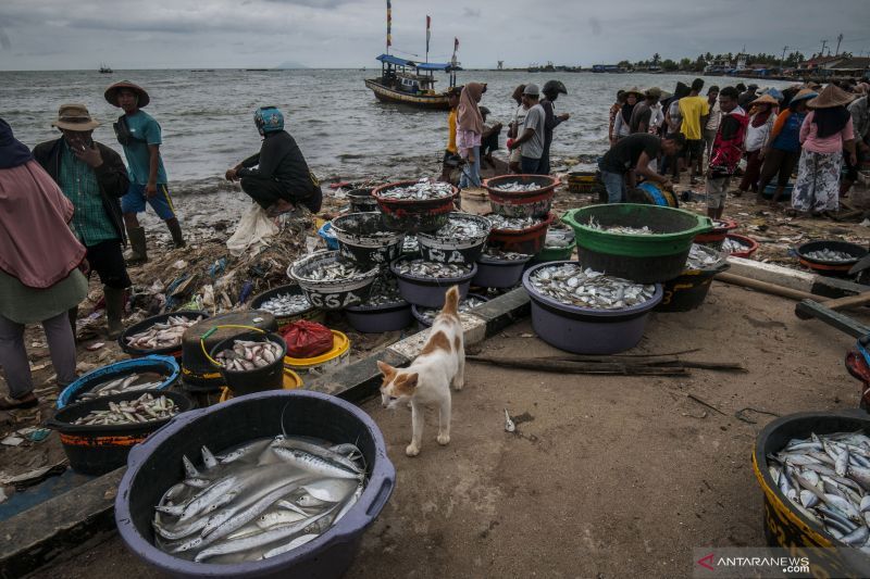 Kementerian Kelautan dan Perikanan Diminta Antisipasi Monopoli Kuota Penangkapan Ikan