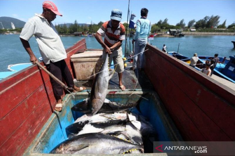 Kementrian Kelautan dan Perikanan Berhasil Membuat Alat Pengupas Ikan yang Lebih Efisien