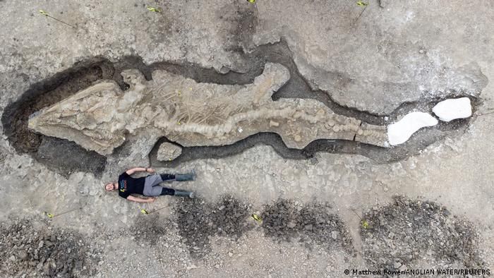 Fosil Lengkap “Naga Laut” Raksasa Ditemukan di Inggris