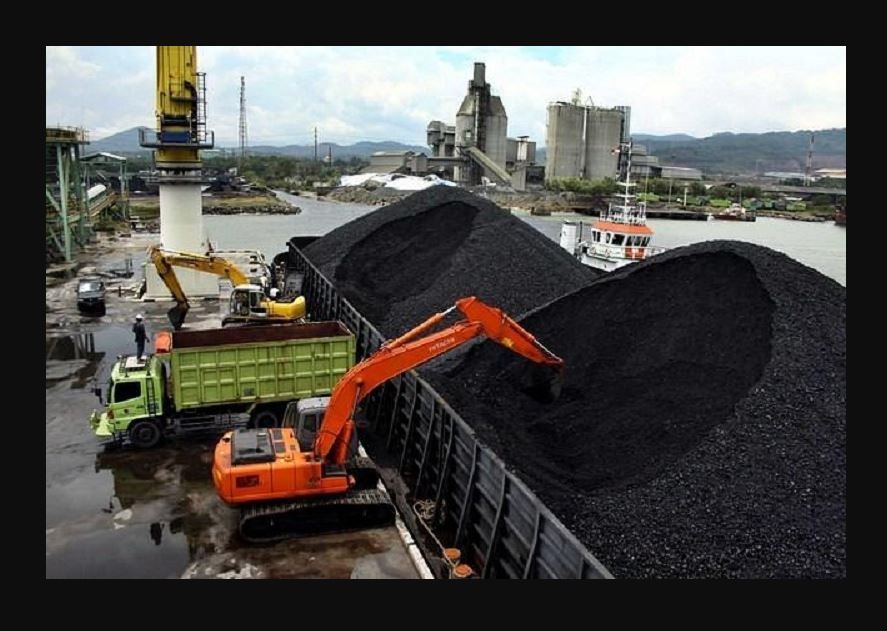 Ratu batu bara tan paulin