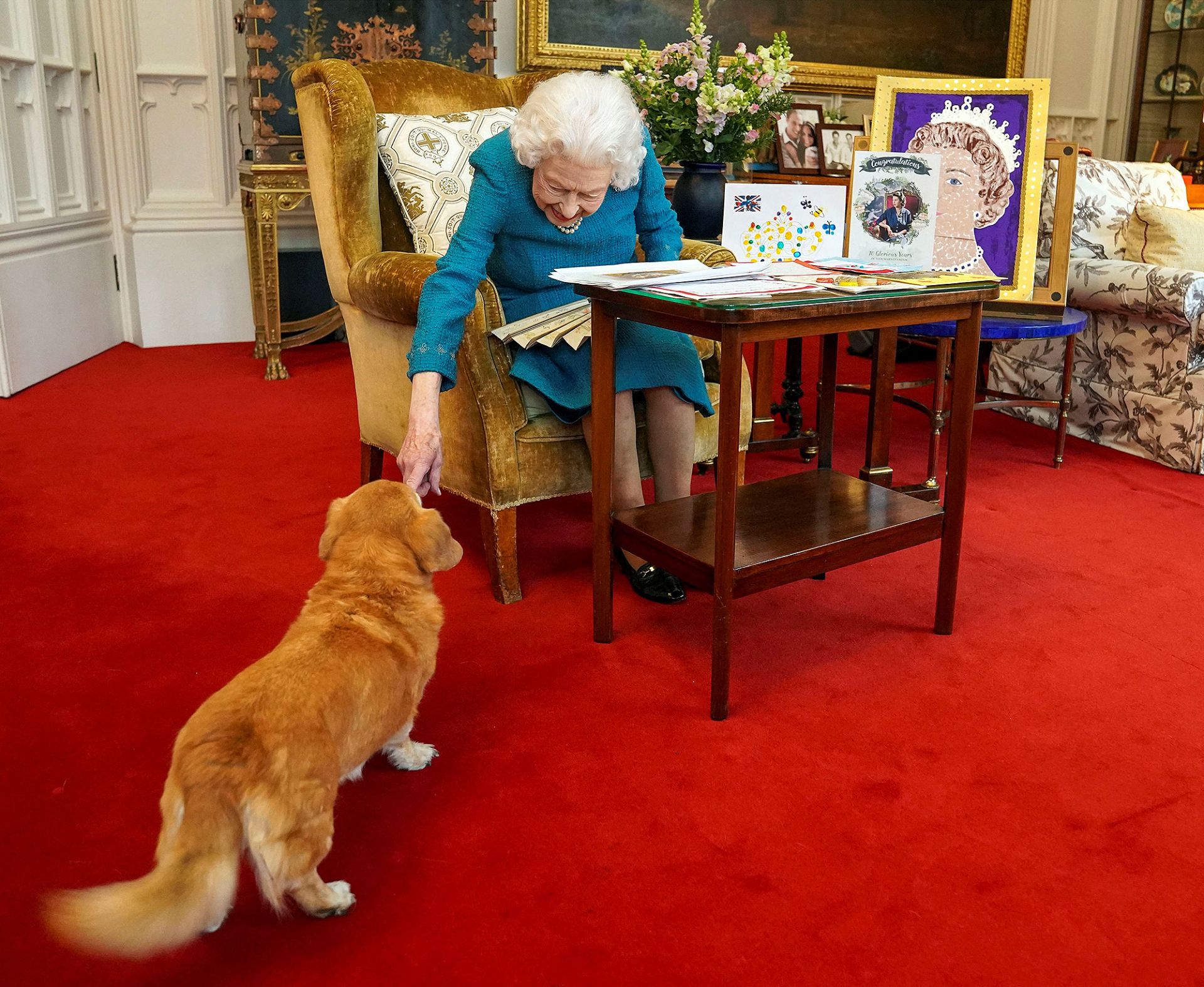 Ratu Elizabeth Rilis Wewangian Mewah untuk Anjing