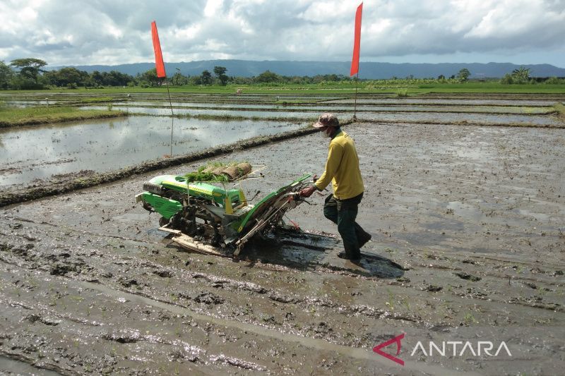 Masalah Pertanian di Indonesia dibanding Negara Lain: Mahal!