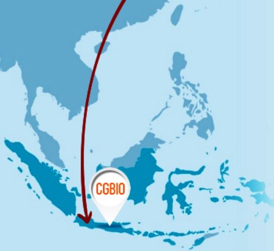 CGBIO Dirikan Klinik Neoregen di Bali, Sediakan Bedah Plastik Kosmetik