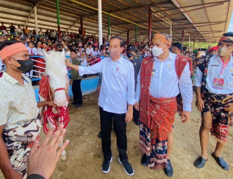 Presiden Jokowi Saksikan Ekshibisi Balap Pacuan Kuda 