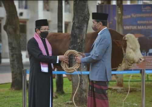 KH. Nazarudin Umar : Sapi Qurban Presiden Jokowi Disembelih Hari Ini di Masjid Istiqlal