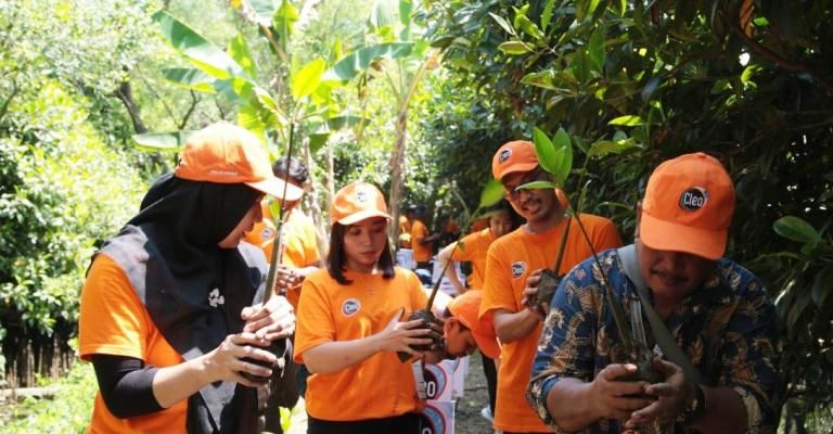 Cleo Tanam Ribuan Bibit Pohon di Ecowisata Mangrove Wonorejo