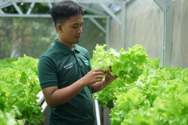 Sharp Hydro Heroes Sukses Ciptakan Petani Muda Berkelanjutan