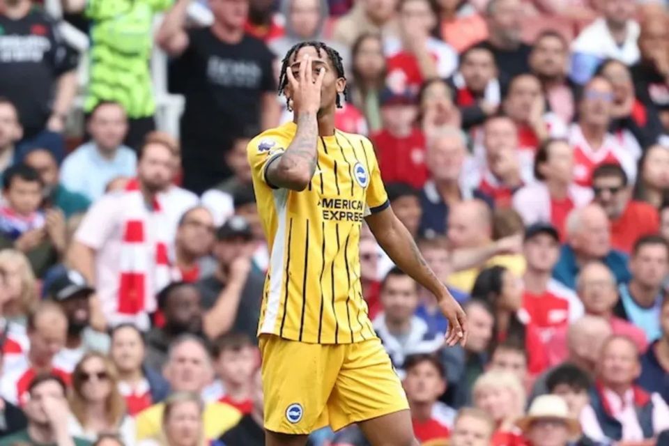 Liga Ingrris: Chelsea Resmi Kontrak Joao Pedro dari Brighton