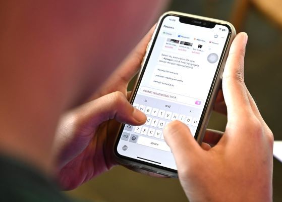 AI Andalan Konsumen Cerdas dalam Berburu Diskon Online