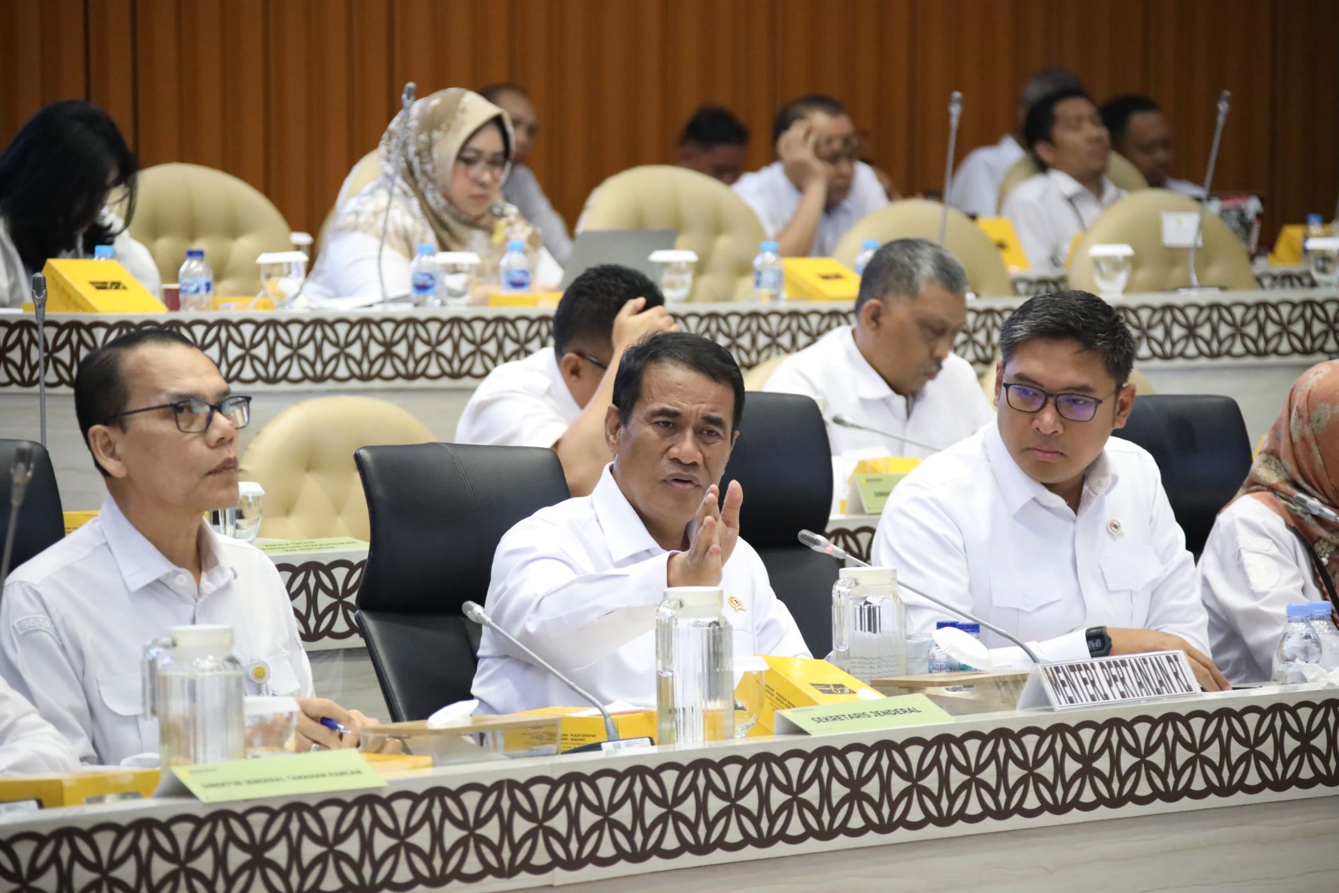 Produksi Surplus 3,7 Juta Ton, Komisi IV Apresiasi Mentan Amran