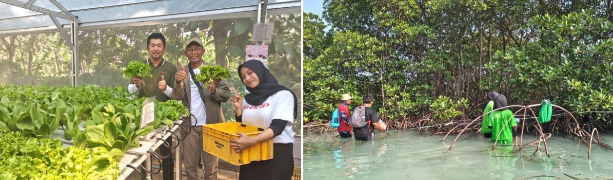 Sharp Cetak Generasi Emas Sebagai Wirausaha Pertanian dan Penjaga Lingkungan Masa Depan