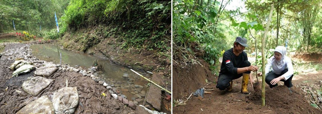 Restorasi Mata Air dan Tanam 21.000 Pohon di Kabupaten Malang, Perkuat Ketahanan Lingkungan dan Ekonomi Warga