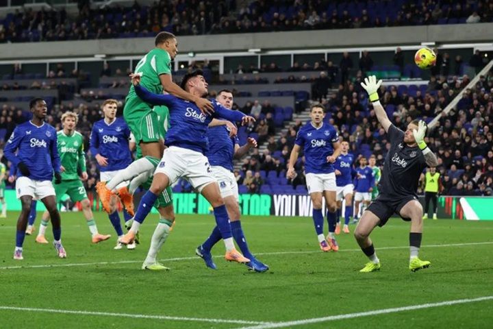 Ini Hasil Liga Inggris: Newcastle Permalukan Everton 4-1, Spurs kembali Tumbang