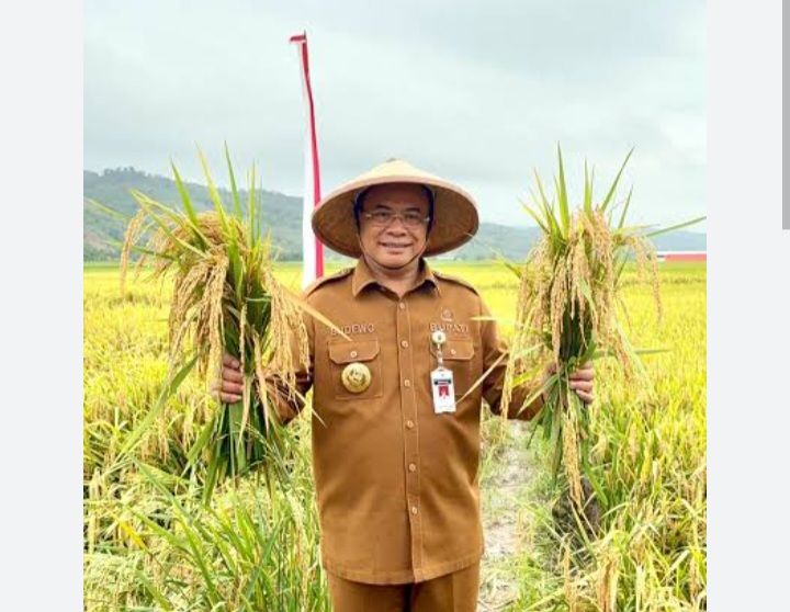 Dahsyat, Harta Bupati Pati Sudewo yang Ditangkap KPK Rp31,5 Miliar