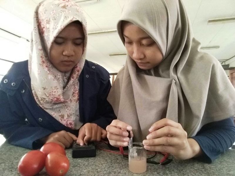 Mahasiswa ITS; Ciptakan Baterai Gel Dari Tomat