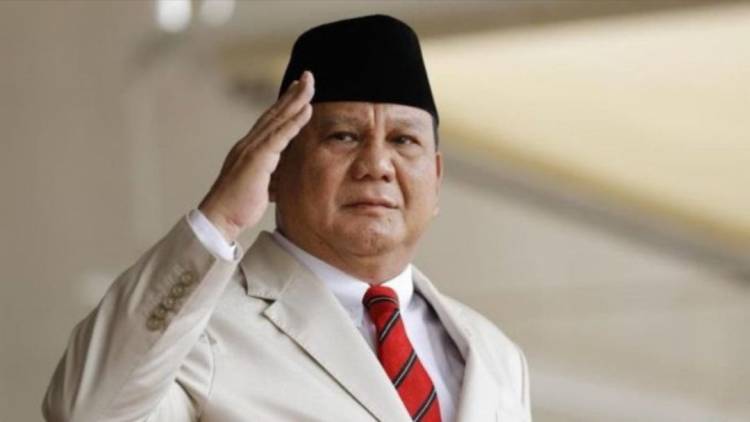 Menhan Prabowo Subianto, Dukung Resolusi Damai Palestina