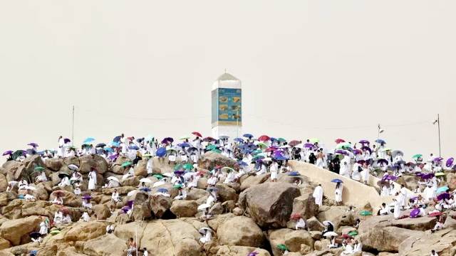 Hari Ini Jelang Wukuf, Seluruh Jamaah Haji Indonesia  Diberangkatkan ke Arafah Secara Bergelombang