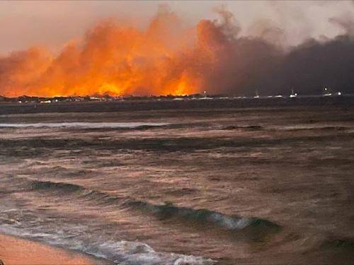 Kebakaran Hutan di Hawaii Menewaskan  67 Orang