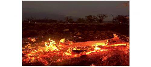 Breaking News: Kebakaran Hutan di Hawaii 89 Orang Tewas Kemungkinan Masih Terus Bertambah