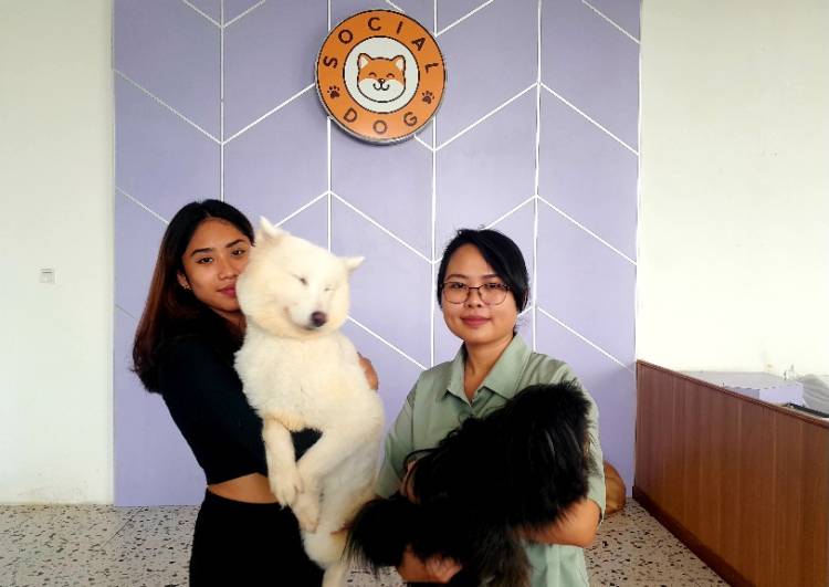 Sukses di Tahun 2023, Jakarta Pets  Expo 2024 Kembali Hadir dengan Ragam Kegiatan Menarik!