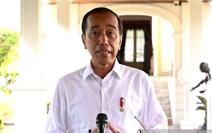 Soal Syarat Calon Kepala Daerah, Presiden Jokowi Hormati Putusan MK dan DPR RI