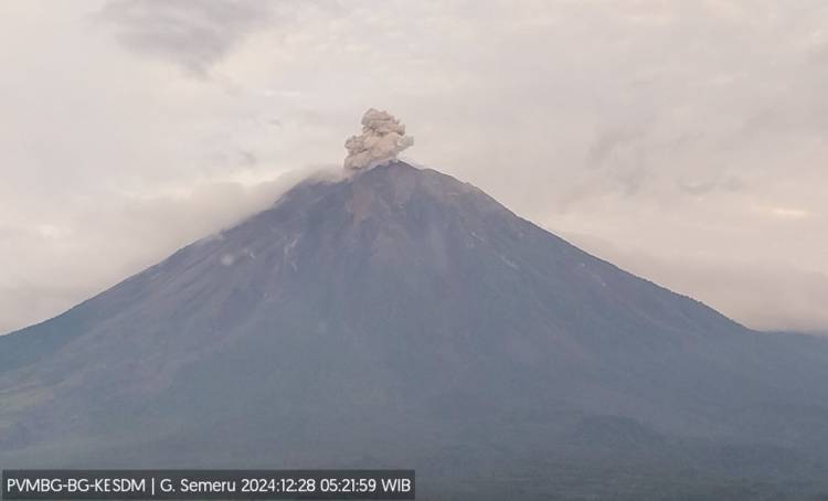 Pagi Ini,  Gunung Semeru Meletus!