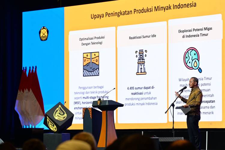 Potensi Bisnis CCS Bisa Dorong Pertumbuhan Ekonomi