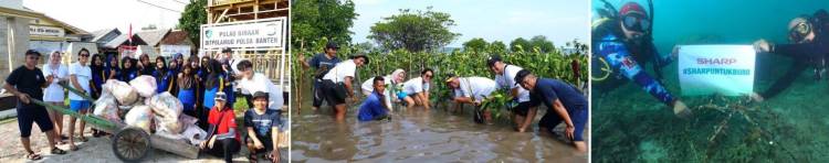 Sharp Indonesia Tanam 5.500 Pohon Mangrove dan Pulihkan Terumbu Karang di Kawasan Pesisir yang Terancam