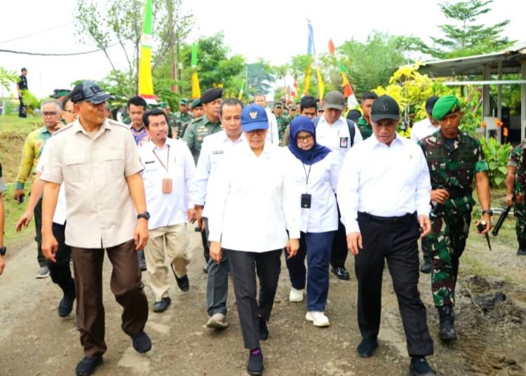 Mentan Amran: Hilirisasi Pertanian Butuh Disiplin TNI untuk Tingkatkan Kesejahteraan Petani