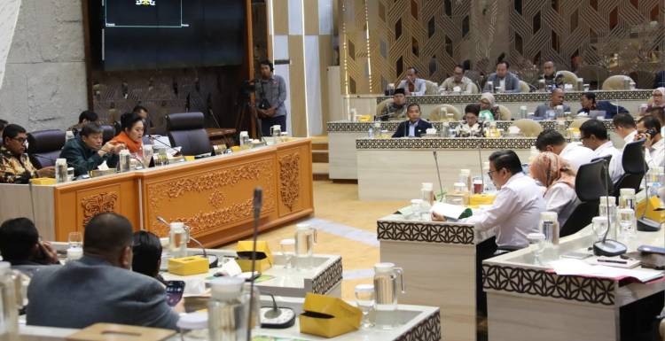 Komisi IV DPR RI: Produksi Surplus 3,7 Juta Ton, Harga Beras Bukan Tugas Mentan Amran