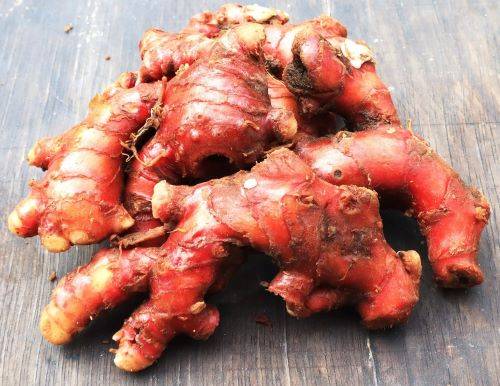 Dari Tradisi ke Standar Industri Obat Herbal Global, Jahe Merah Miliki Banyak Khasiat