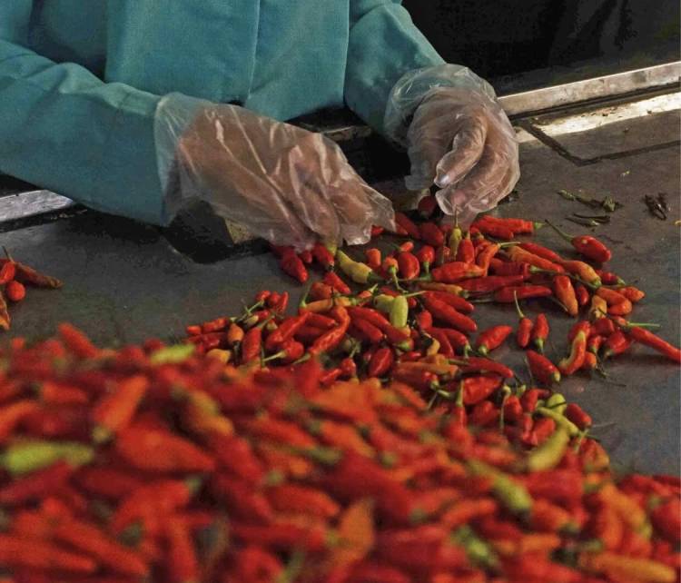 Harga Cabai dan Bawang Merah Naik Gila-gilaan