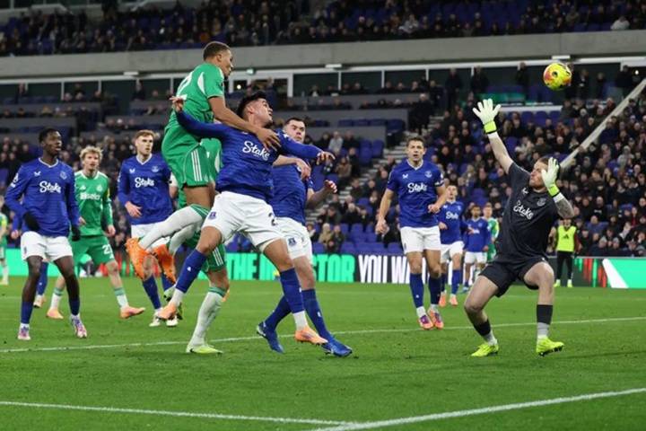 Ini Hasil Liga Inggris: Newcastle Permalukan Everton 4-1, Spurs kembali Tumbang