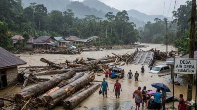 Kerusakan Hutan Berada Pada Daerah Mudah Transaksi Alih Fungsi Hutan