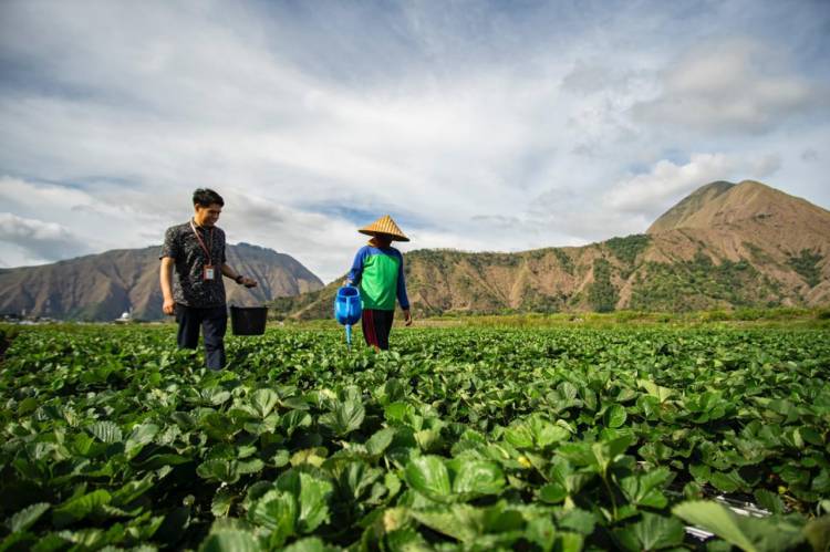 BRI : Optimisme Pelaku Usaha Semakin Meningkat