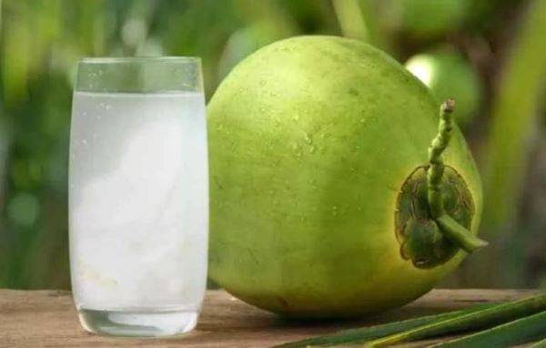 Kebanggaan Produk Air Kelapa Asli Indonesia Hadir di Tengah Fenomena K-Pop Global