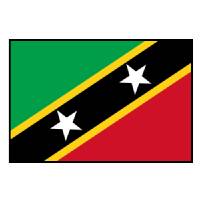 Tundukan Timnas Salomon 2-4, ST Kitts & Nevis Posisi Ketiga FIFA Series 2026