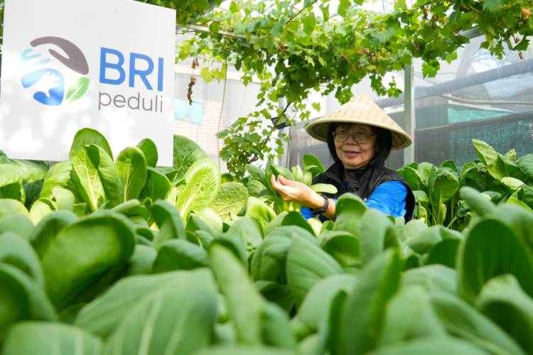 BRI Dorong Ketahanan Pangan dan Ekonomi Perkotaan melalui Program BRInita