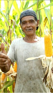 Sosialisasi Sistem Resi Gudang; Saat Panen Tak Harus Merana