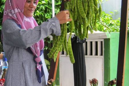 Pentingnya Menggunakan Produk Organik; Petani maupun Konsumen Harus Peduli