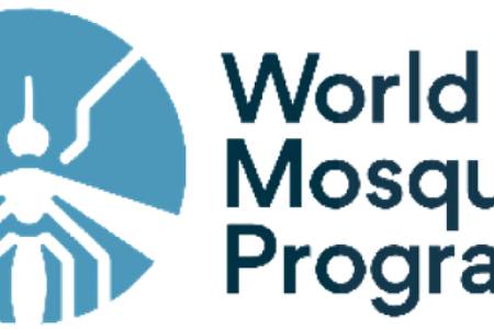 World Mosquito Program Punya Metode Wolbachia; Efektif Turunkan 77% Kasus DB di Yogyakarta