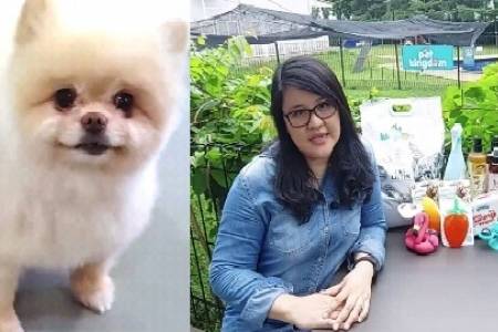 Pet Kingdom; Tawarkan One Stop Solution untuk Kebutuhan Hewan Piaraan