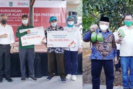 OJK Dukung Penyaluran KUR Klaster Pertanian Alpukat Pameling; di Kabupaten Malang