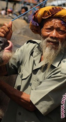 Ritual Larung Untuk Raden Menak Sopal; Jadi Objek Wisata