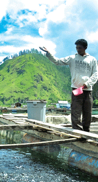 Teknologi Pakan Ikan Mandiri; Beri Efisiensi Biaya 50 Persen