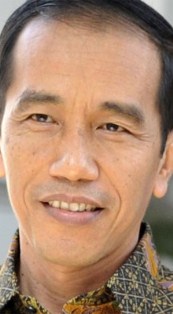 Presiden Jokowi; Terima Menlu Jerman